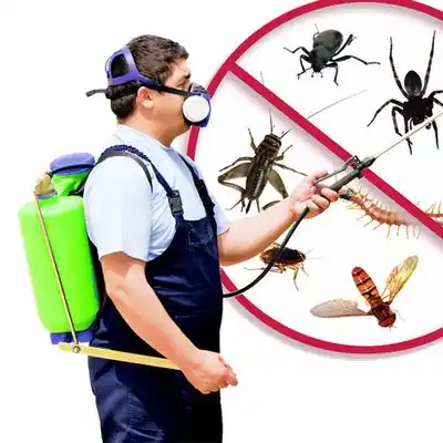 pest control South Euclid